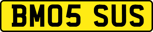 BM05SUS