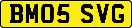 BM05SVG