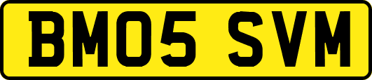 BM05SVM