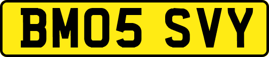 BM05SVY
