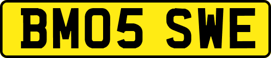 BM05SWE
