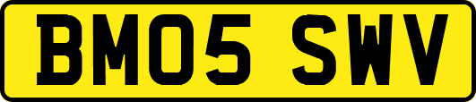 BM05SWV