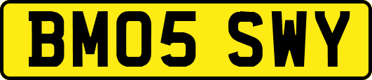 BM05SWY