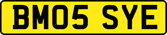 BM05SYE