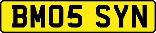 BM05SYN