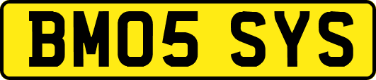 BM05SYS