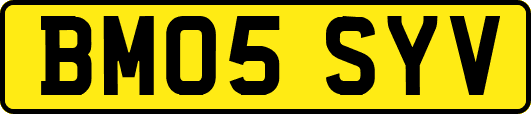 BM05SYV
