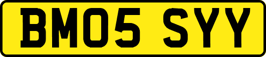 BM05SYY
