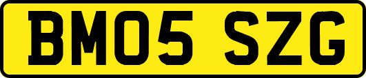 BM05SZG