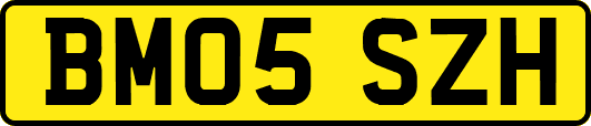 BM05SZH