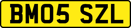 BM05SZL