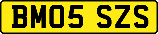 BM05SZS