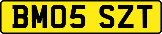 BM05SZT