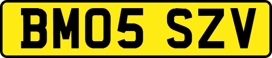 BM05SZV