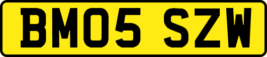BM05SZW