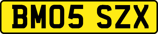 BM05SZX