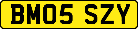 BM05SZY