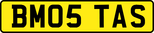 BM05TAS