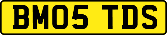 BM05TDS