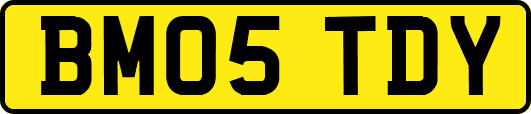 BM05TDY