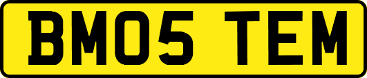 BM05TEM