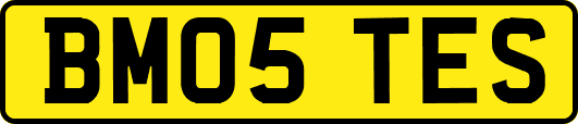 BM05TES