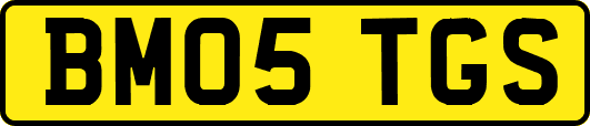 BM05TGS