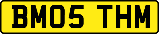 BM05THM