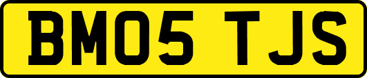 BM05TJS