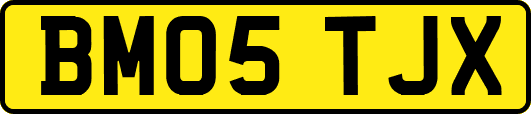 BM05TJX