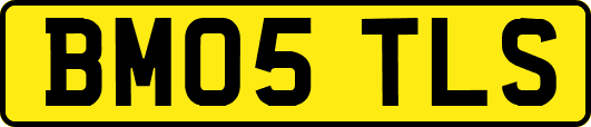 BM05TLS