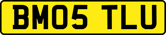 BM05TLU