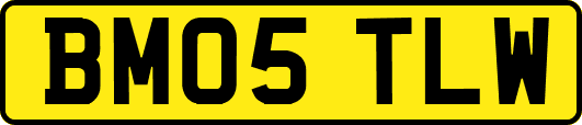 BM05TLW