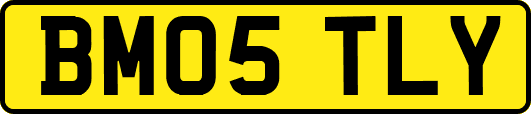 BM05TLY
