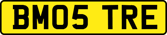 BM05TRE