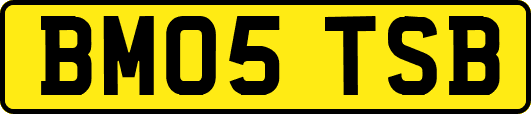 BM05TSB
