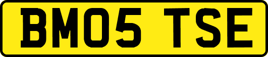 BM05TSE