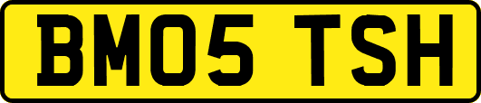 BM05TSH