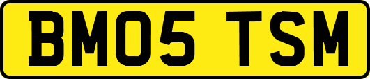 BM05TSM