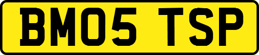 BM05TSP