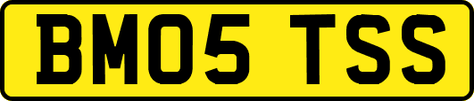 BM05TSS