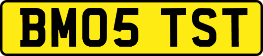 BM05TST