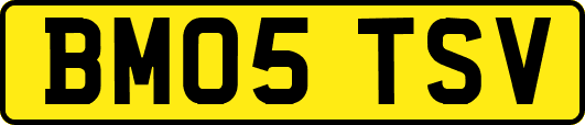 BM05TSV