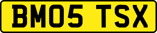 BM05TSX
