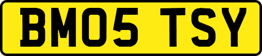 BM05TSY