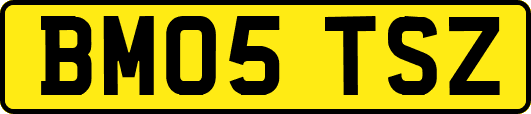 BM05TSZ