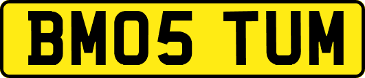 BM05TUM