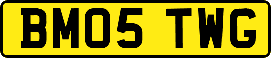 BM05TWG