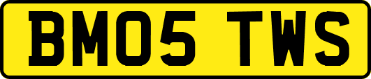 BM05TWS