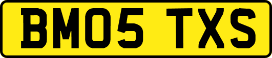 BM05TXS